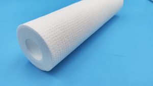 Long-Lasting DGD 2501 Filter for Sediment and Rust Removal