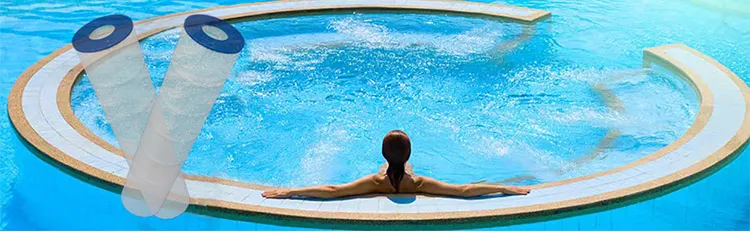 Swimming Pool Filter Cartridge Ince-4CH-949