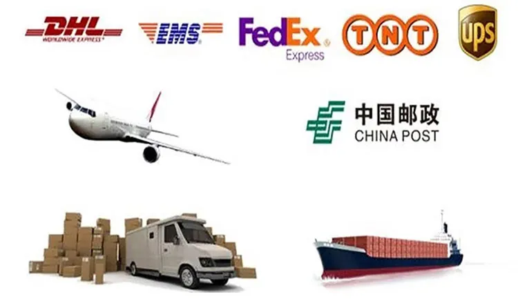 Factory Cost Ince-Bw-VI Swimming Pool Pleated Water Filter Element